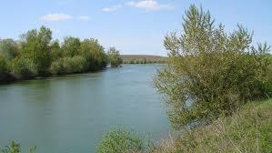 balta colacu - images.jpg